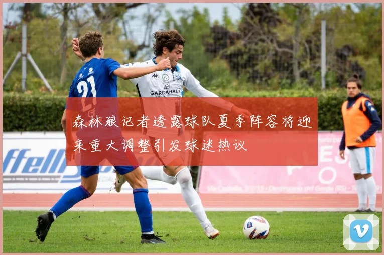 森林狼记者透露球队夏季阵容将迎来重大调整引发球迷热议